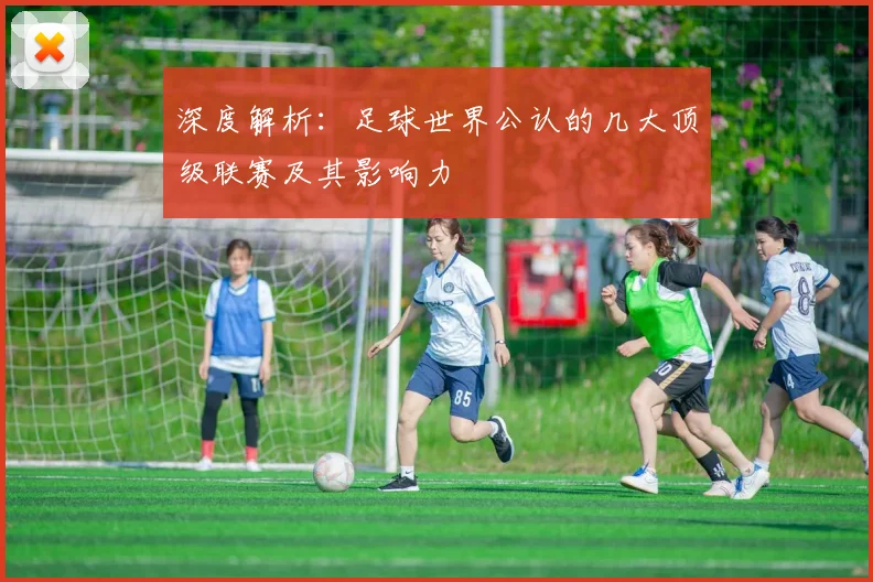 深度解析：足球世界公认的几大顶级联赛及其影响力