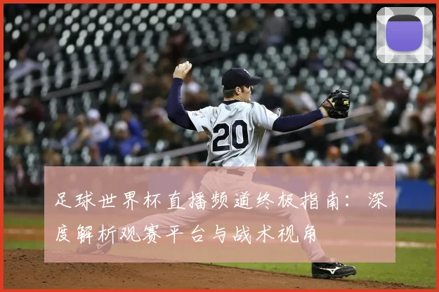 足球世界杯直播频道终极指南:深度解析观赛平台与战术视角
